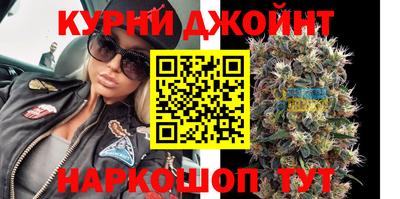 шишки Гудермес