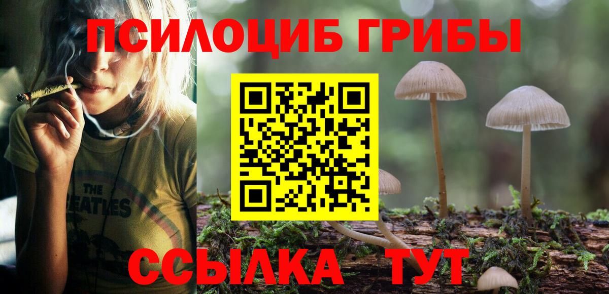 Псилоцибиновые грибы ЛСД  Вход с VPN  Дзержинск  Псилоцибиновые грибы мухоморы 
